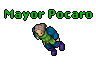 Mayor Pocaro