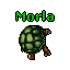 Morla