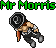 Mr Morris