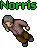 Norris