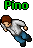 Pino