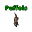 Puffels