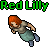 Red Lilly