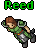 Reed