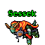 Sessek