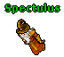 Spectulus