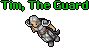 Tim, The Guard