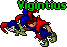 Vigintius