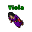 Viola