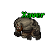 Xaver