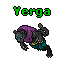 Yerga